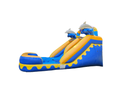 A4B6313D 8BD3 4678 BE21 D356EC830BDC 1742676825 Dolphins Water Slide