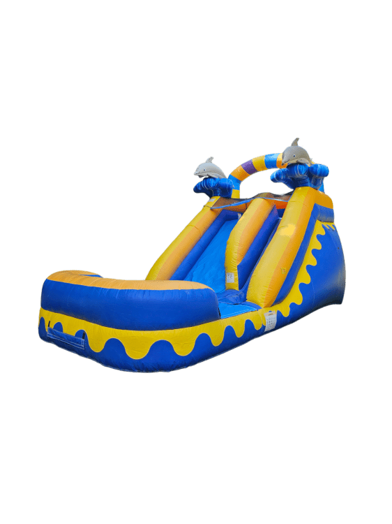 Dolphins Water Slide