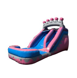 718D1290 3D31 432A B274 7765634BFAC9 1747164418 Pink Princess Water Slide