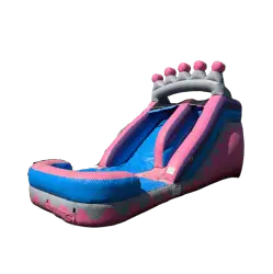 718D1290 3D31 432A B274 7765634BFAC9 1747164418 Pink Princess Water Slide